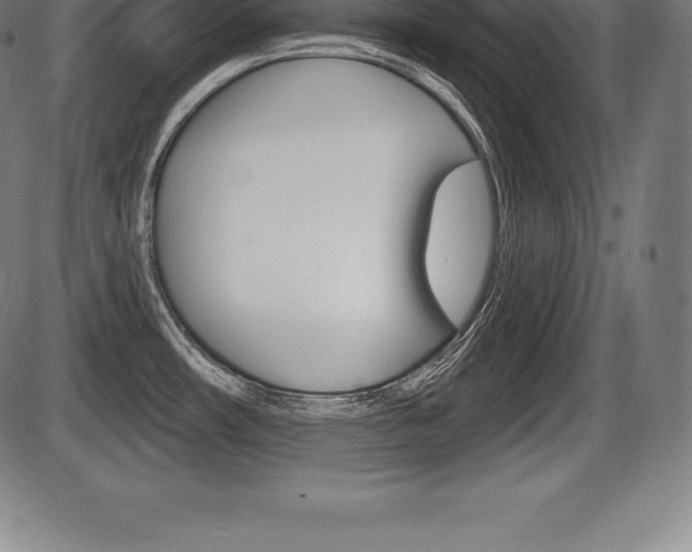 X0000087631482200705030715