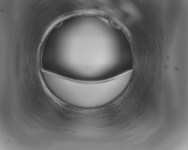 X0000087631483200705030715