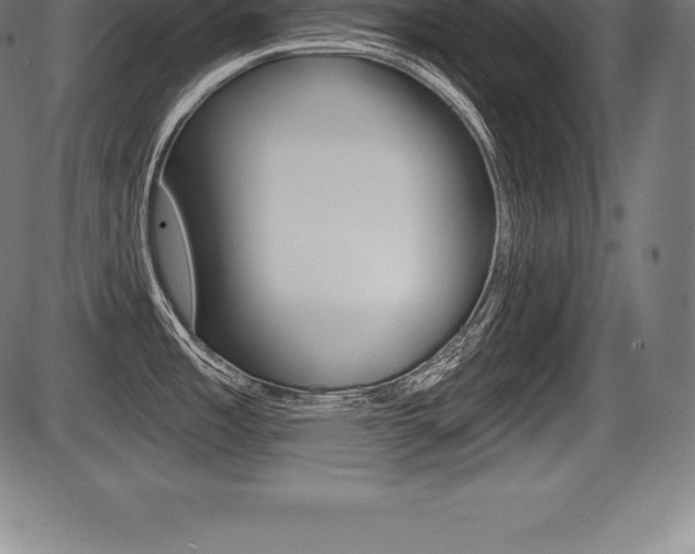 X0000087631485200705030715