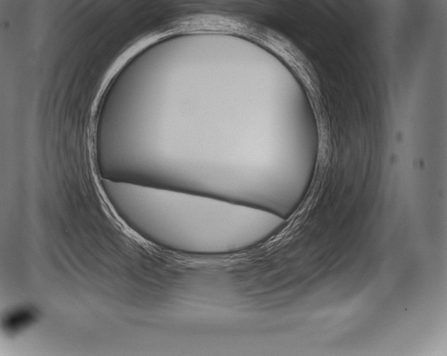 X0000087631486200705030715