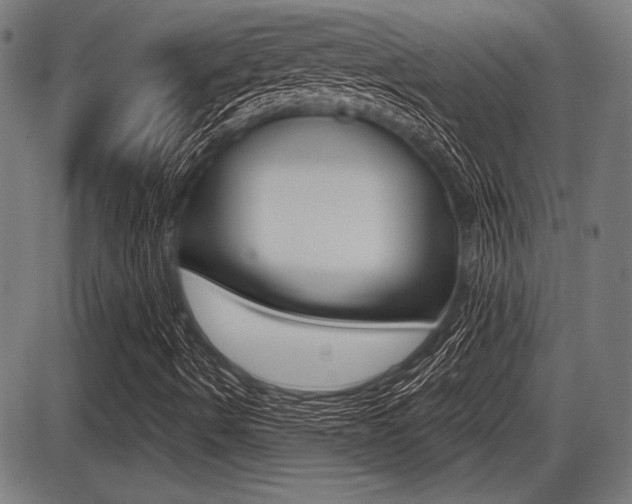 X0000087631490200705030714