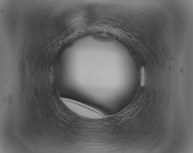 X0000087631491200705030714