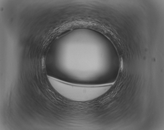 X0000087631492200705030714