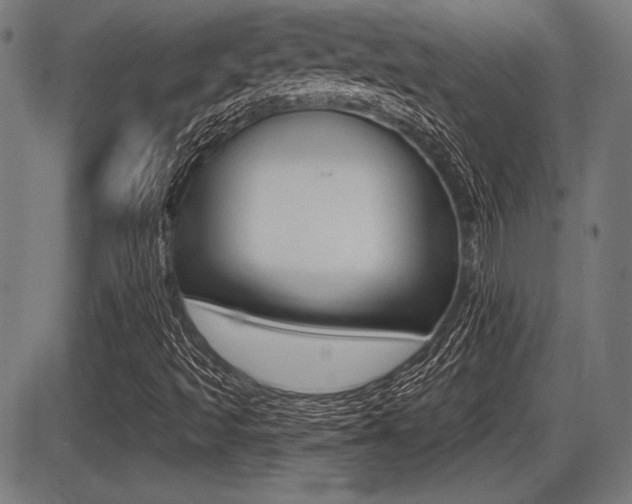 X0000087631493200705030714