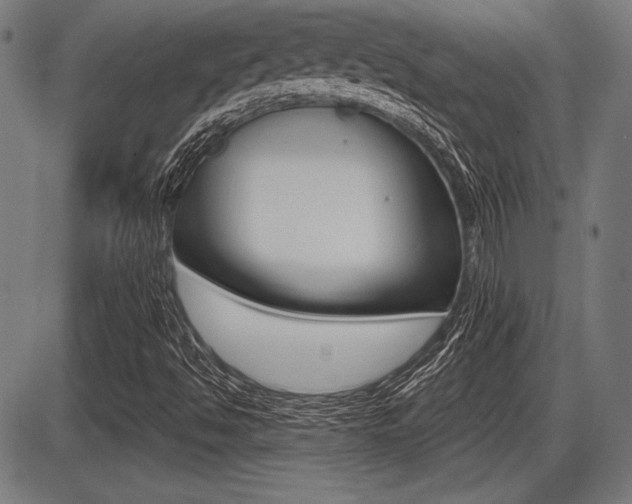 X0000087631494200705030714