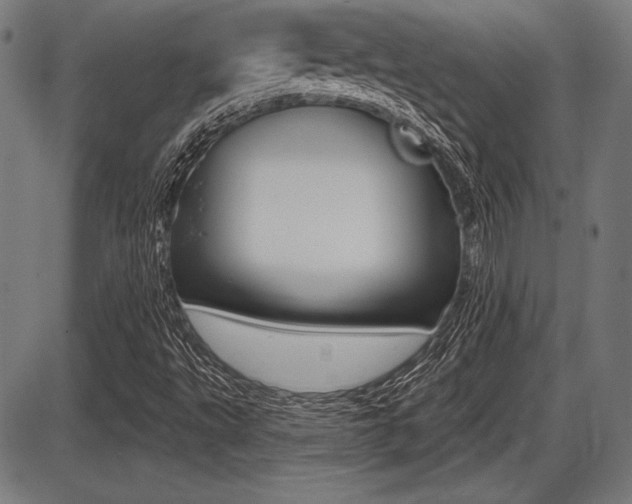 X0000087631495200705030714