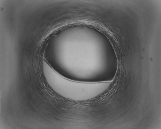 X0000087631496200705030714