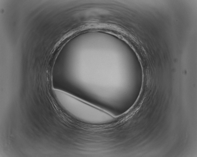 X0000087631497200705030714