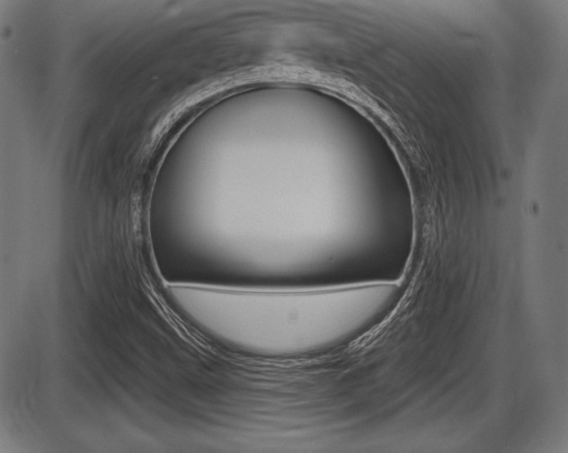 X0000087631499200705030714