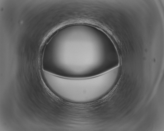 X0000087631500200705030714