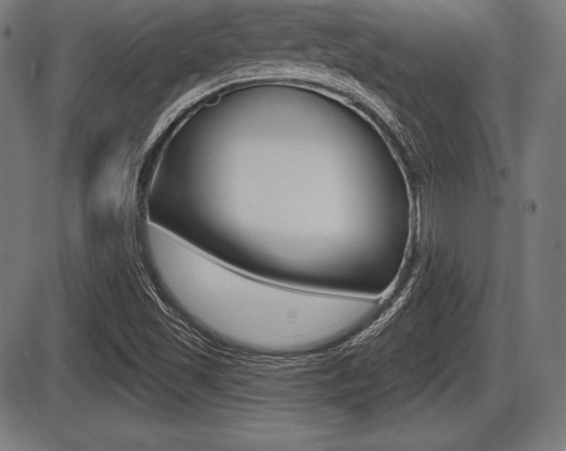 X0000087631501200705030714