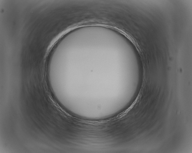 X0000087631502200705030714