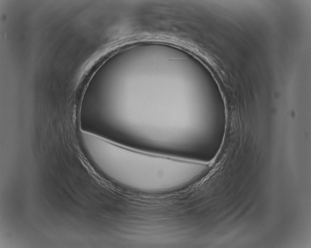 X0000087631503200705030714