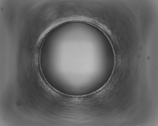 X0000087631504200705030714