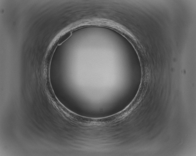 X0000087631506200705030714