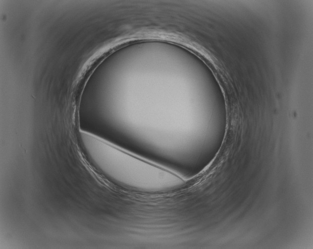 X0000087631507200705030714