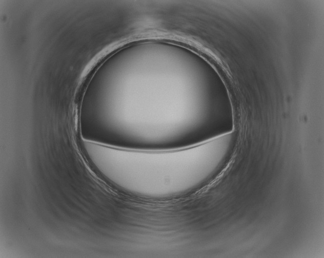 X0000087631509200705030714