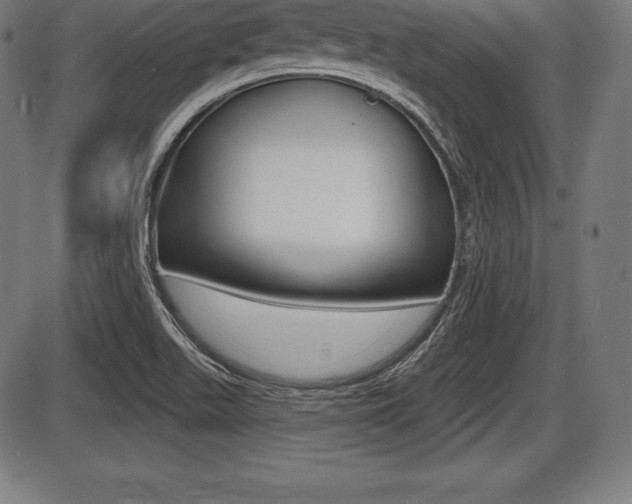 X0000087631511200705030714