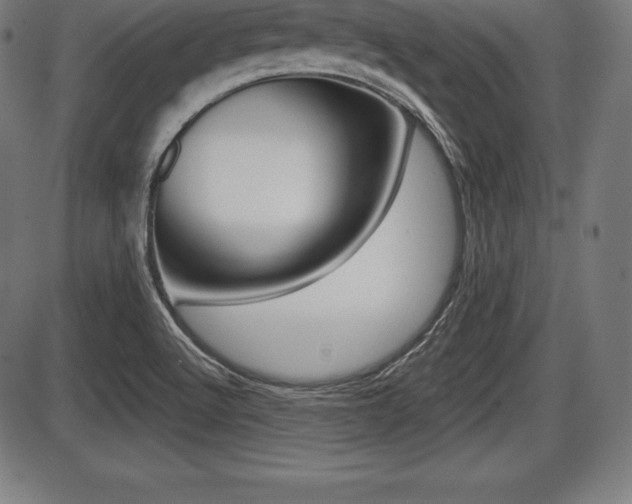 X0000087631512200705030714