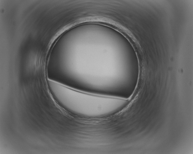 X0000087631513200705030714