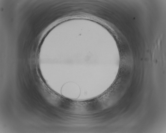 X0000087631514200705030714