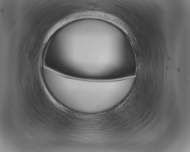 X0000087631523200705030714