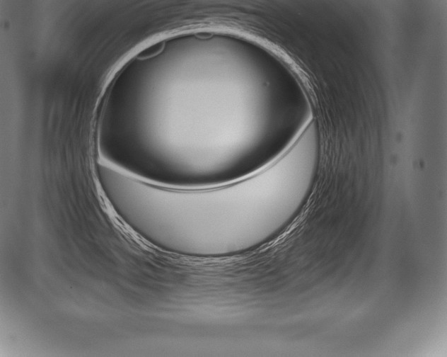 X0000087631534200705030714