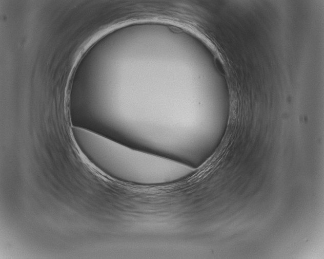 X0000087631535200705030715