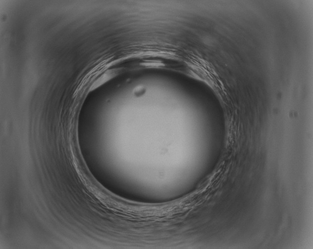 X0000087630001200705031457