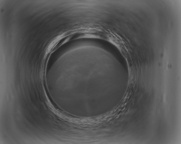 X0000087630003200705031457