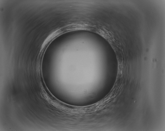 X0000087630004200705031457