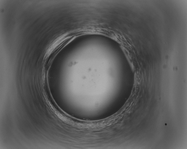 X0000087630005200705031457