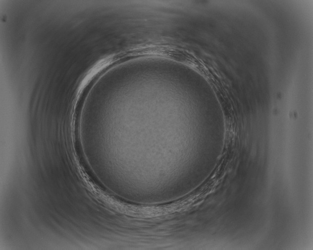 X0000087630006200705031457