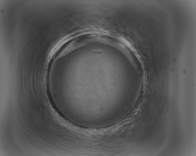 X0000087630007200705031457