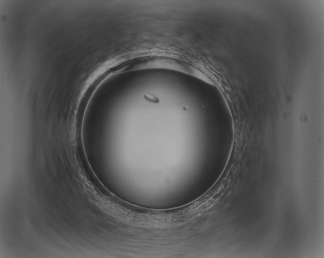 X0000087630008200705031457