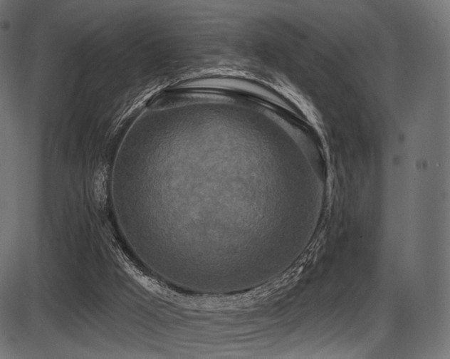 X0000087630009200705031457