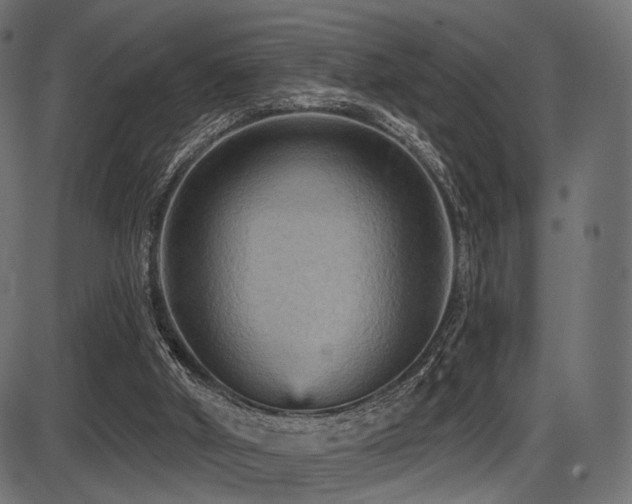 X0000087630010200705031457