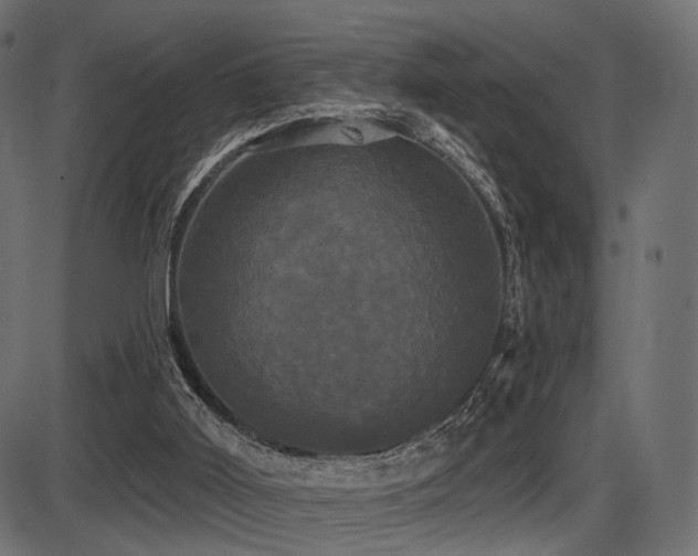 X0000087630011200705031457