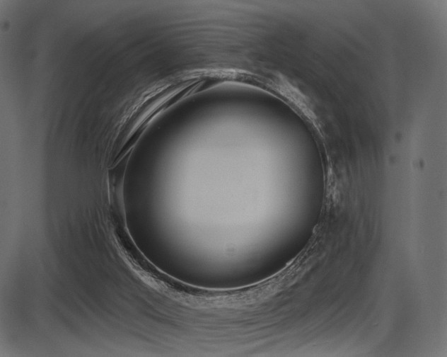 X0000087630013200705031457