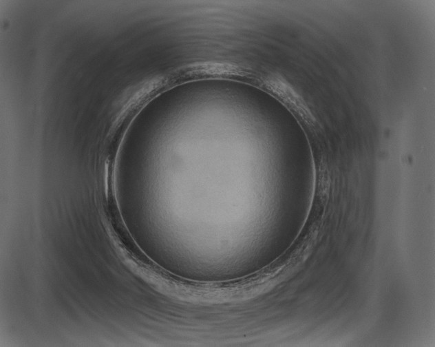 X0000087630014200705031457