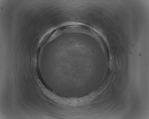 X0000087630015200705031457