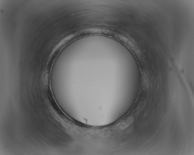 X0000087630016200705031457