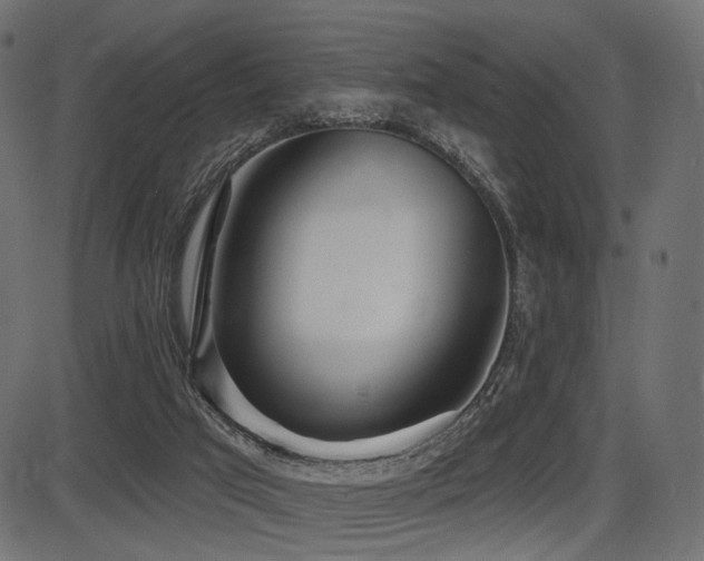 X0000087630017200705031457