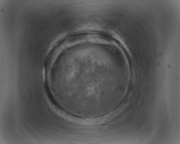 X0000087630019200705031457