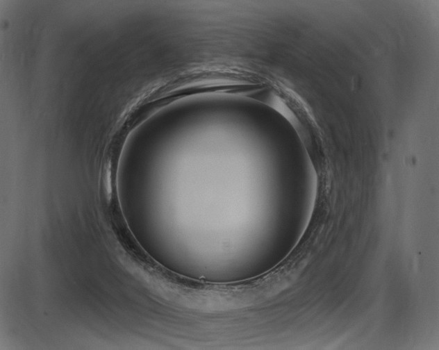 X0000087630020200705031457