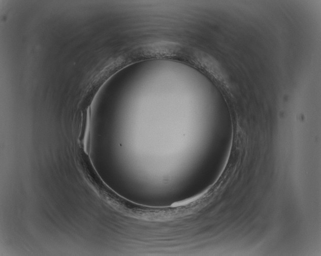 X0000087630021200705031457