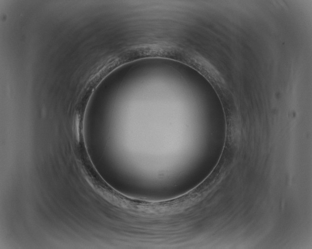 X0000087630022200705031457