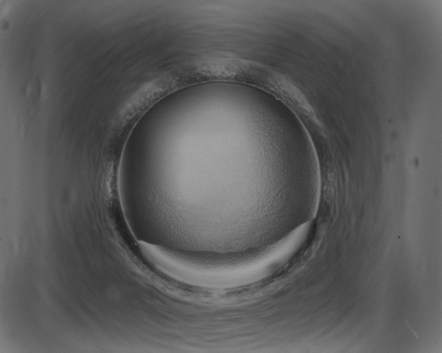 X0000087630023200705031457