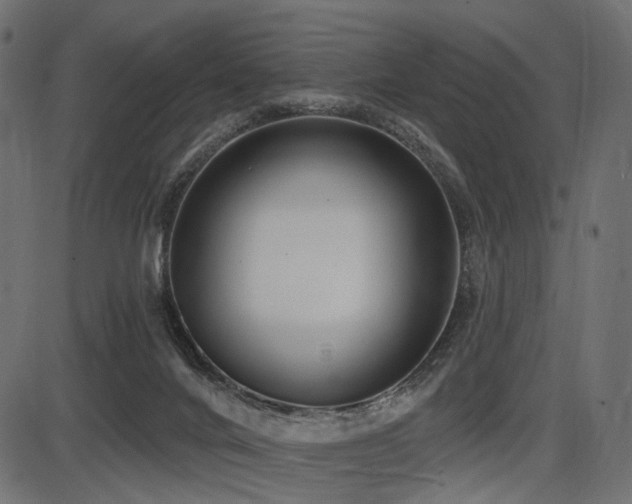 X0000087630024200705031457