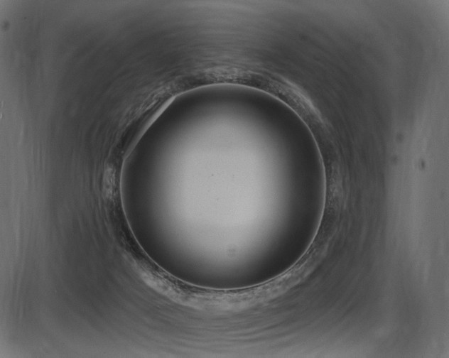 X0000087630025200705031456